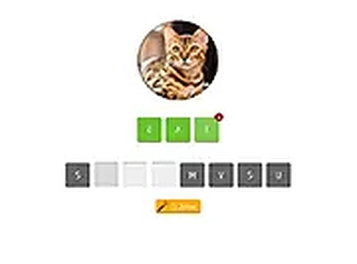 Animal Quiz Online Game