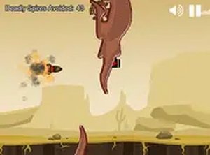 Canyon Runner Shooting Game
