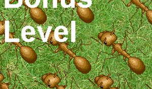 Ant Empire Reloaded Strategy Game